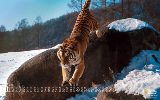 469411 (a): :1440x900
